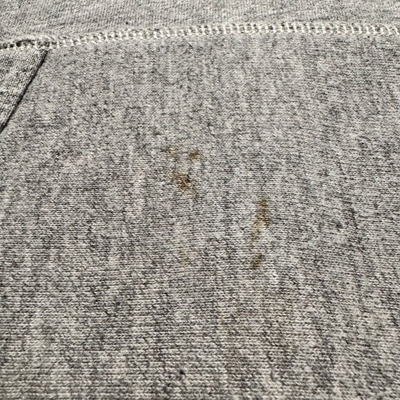 Ralph Lauren Polo Tiger Hoodie 2021 Grey Pullover Hoodie Medium - Picture 9 of 11